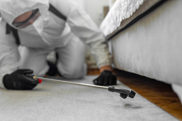 Professional Cockroach Control technician working in Curtice, OH