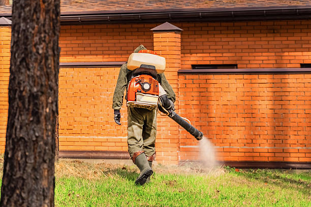 Trusted Emergency Pest Control service in Curtice, OH - Nex Pest Control
